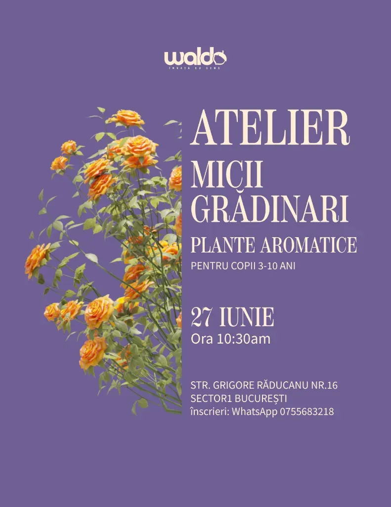 Atelier – Micii Grădinari (Plante aromatice)