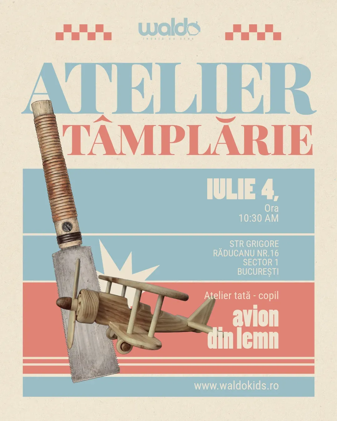 Micii Tâmplari (Avion din lemn)