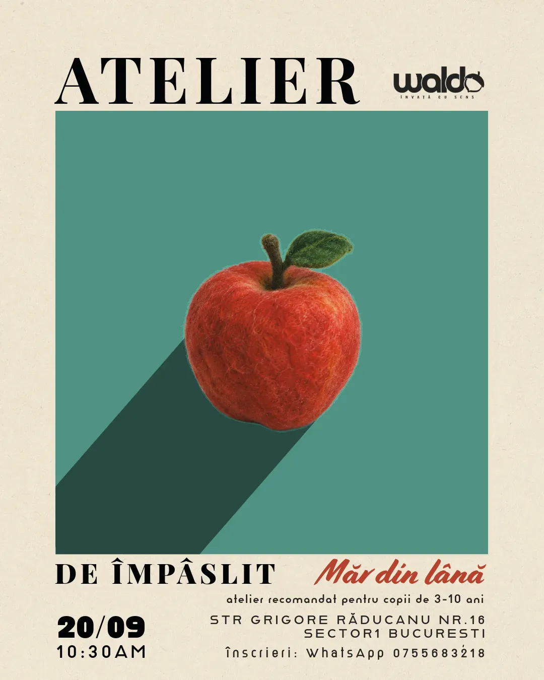 Atelier de împâslit: Măr din lână