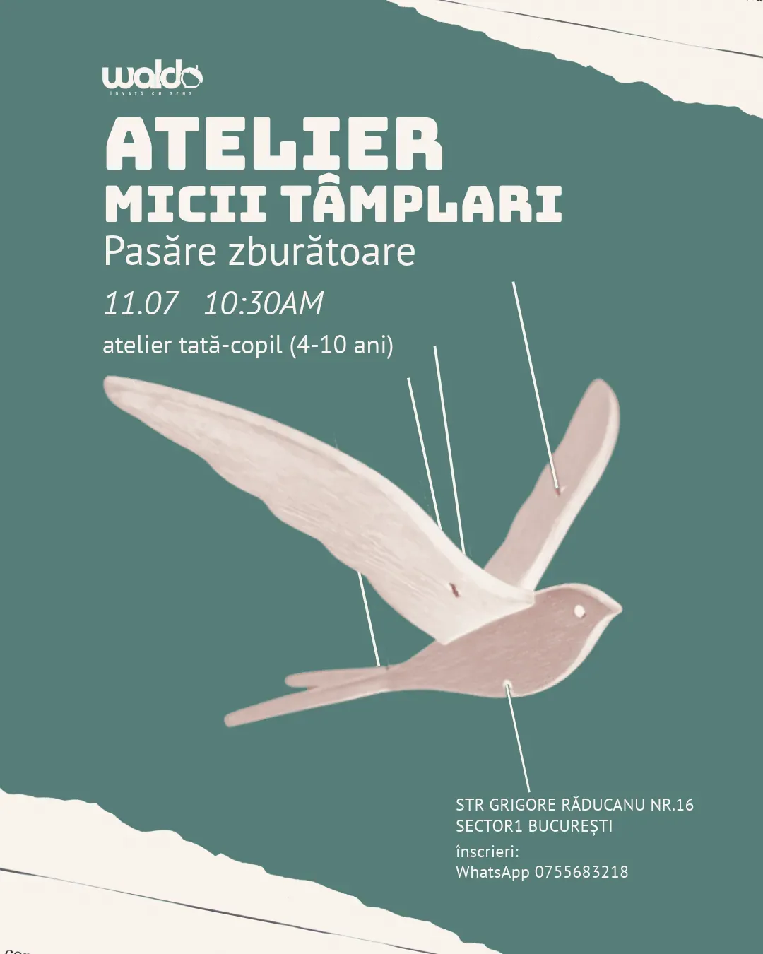 Atelier – Micii Tâmplari (Pasăre zburătoare)