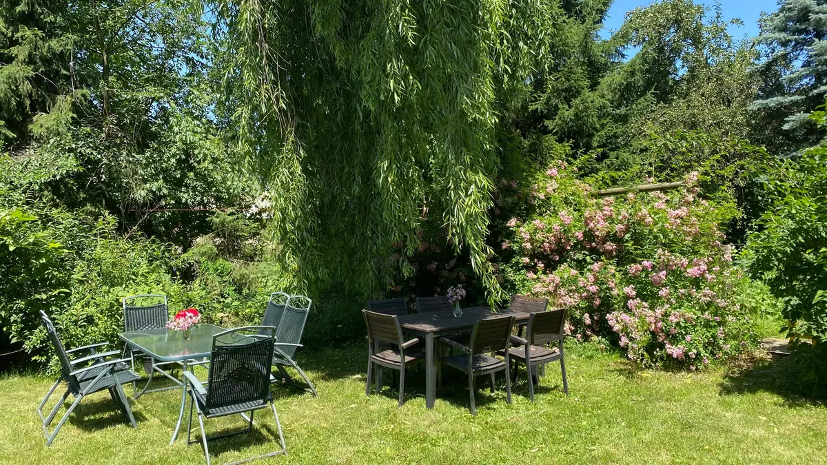 Locul de relaxare din grădină