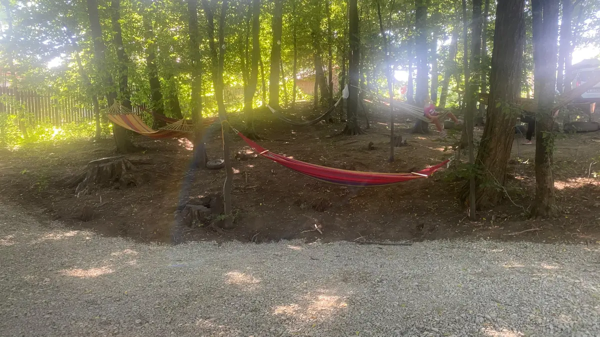 Hamace întinse în pădure