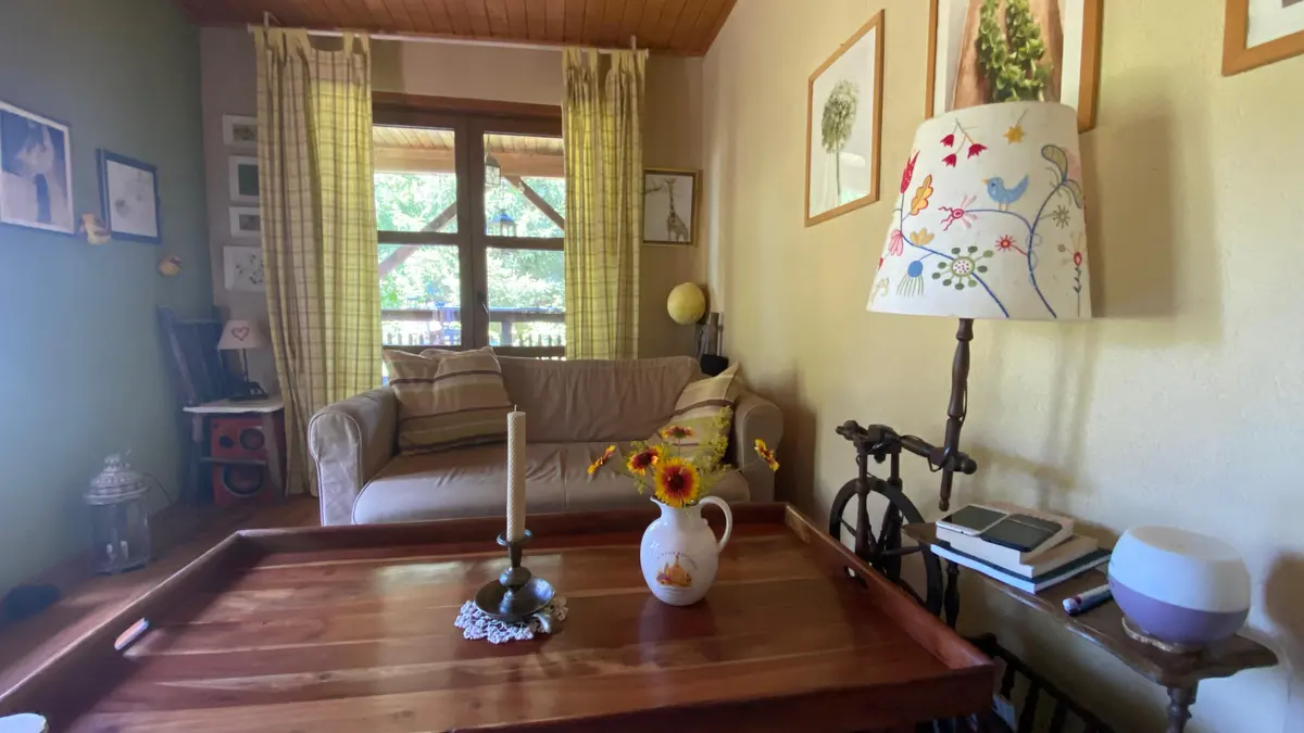 Interiorul primitor al casei