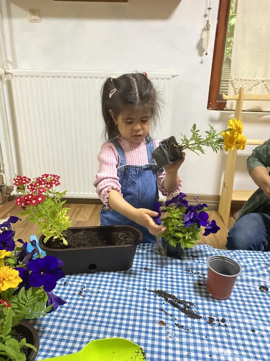 Scenă atelier 5